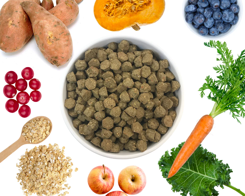 alt text: baked kibble close-up