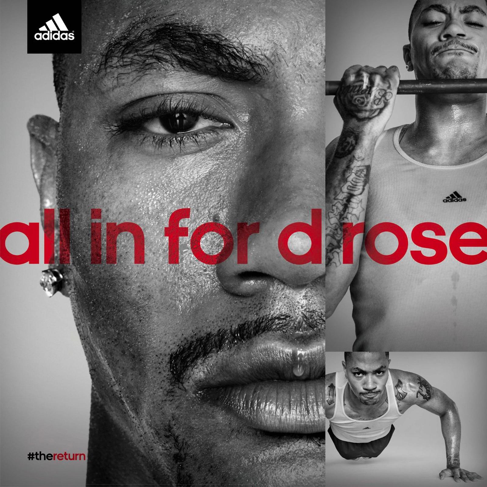 D Rose The Return