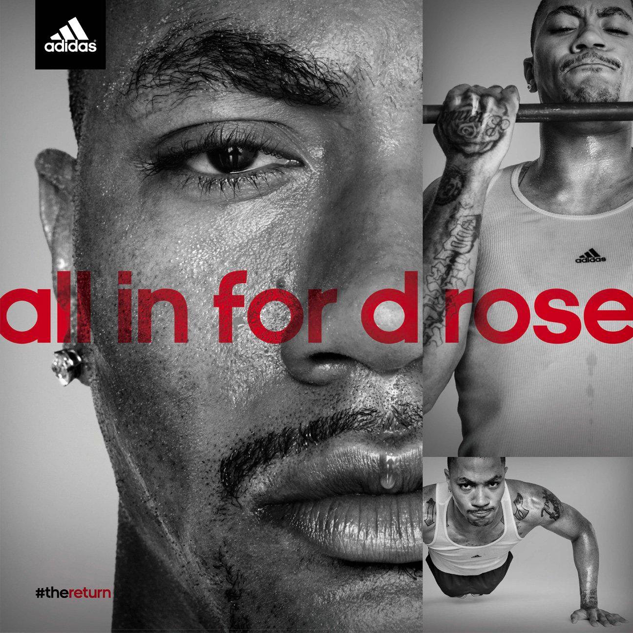 D Rose The Return