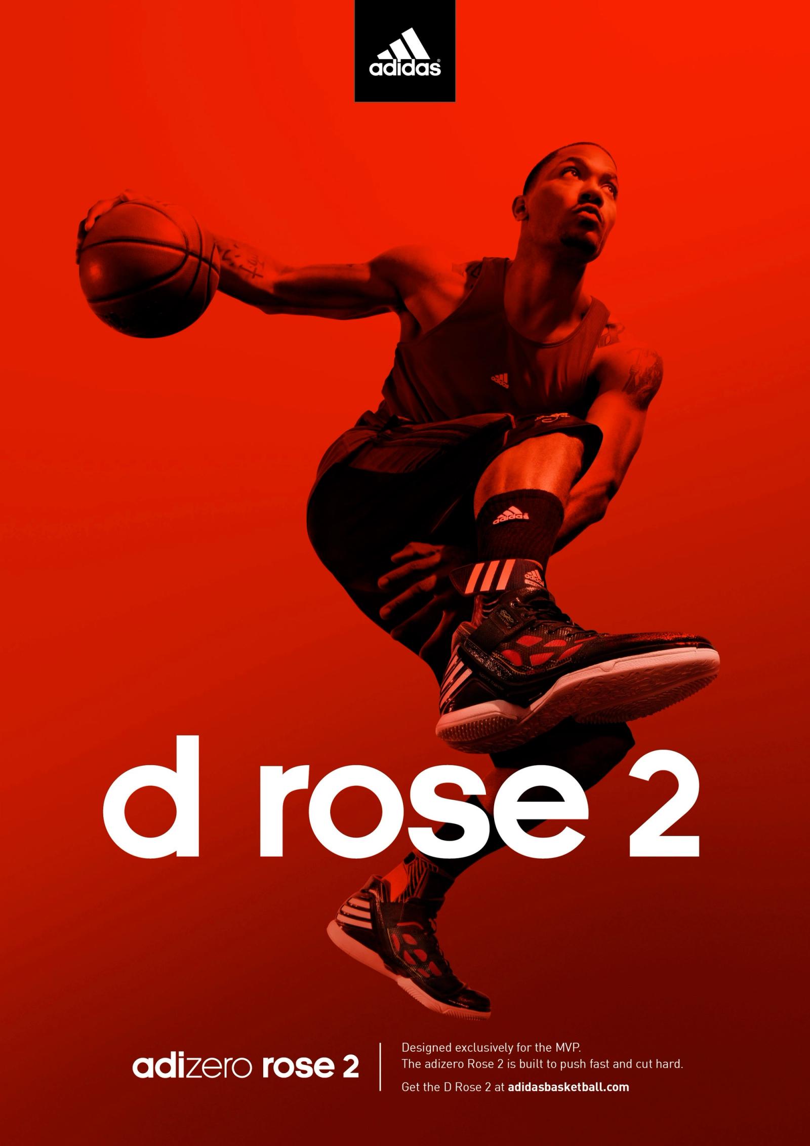 D Rose The Return