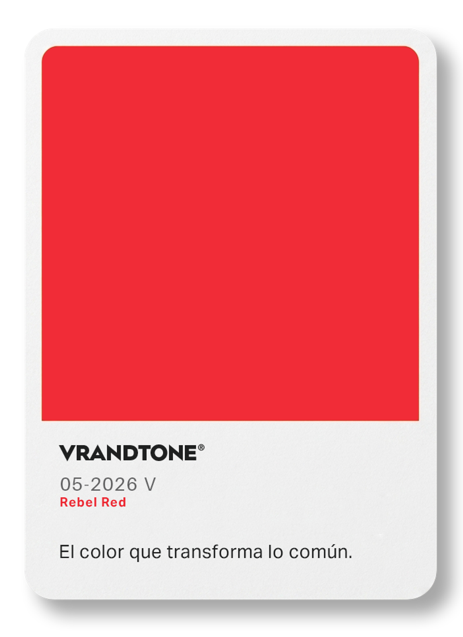 VRANDALISMO — Fig. 04