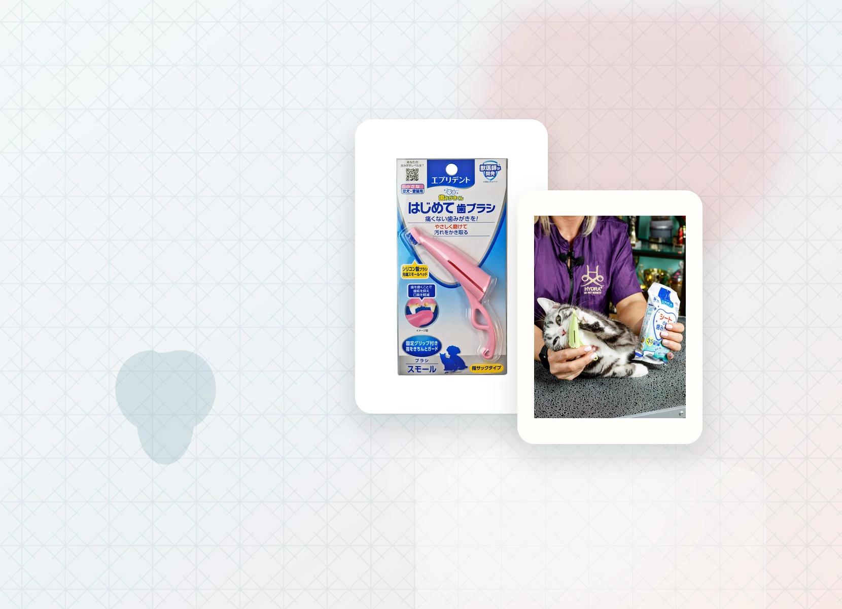 Gentle dental habits — Japan Premium Pet editorial product composition