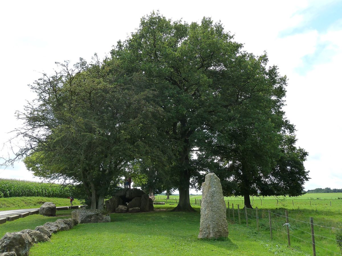 De dolmen van Wéris onder de eiken, met een menhir ervoor