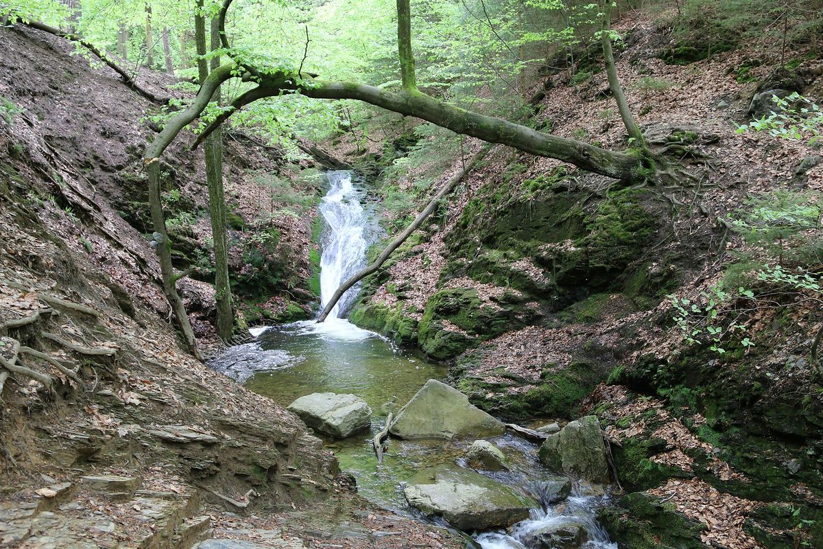 Een kleine waterval van de Ninglinspo tussen bemoste rotsen in het bos