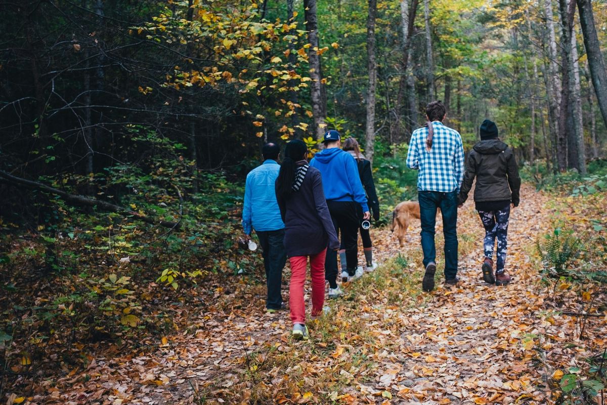 Een groep wandelaars loopt over een bospad vol herfstbladeren