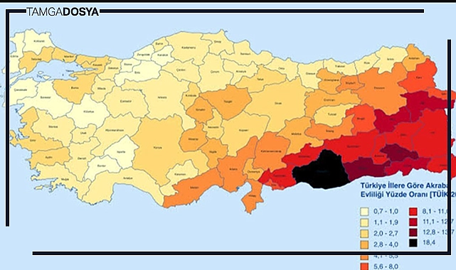 Milliyetçi Kongre Dosyaları | Akraba Evliliği Caiz midir?