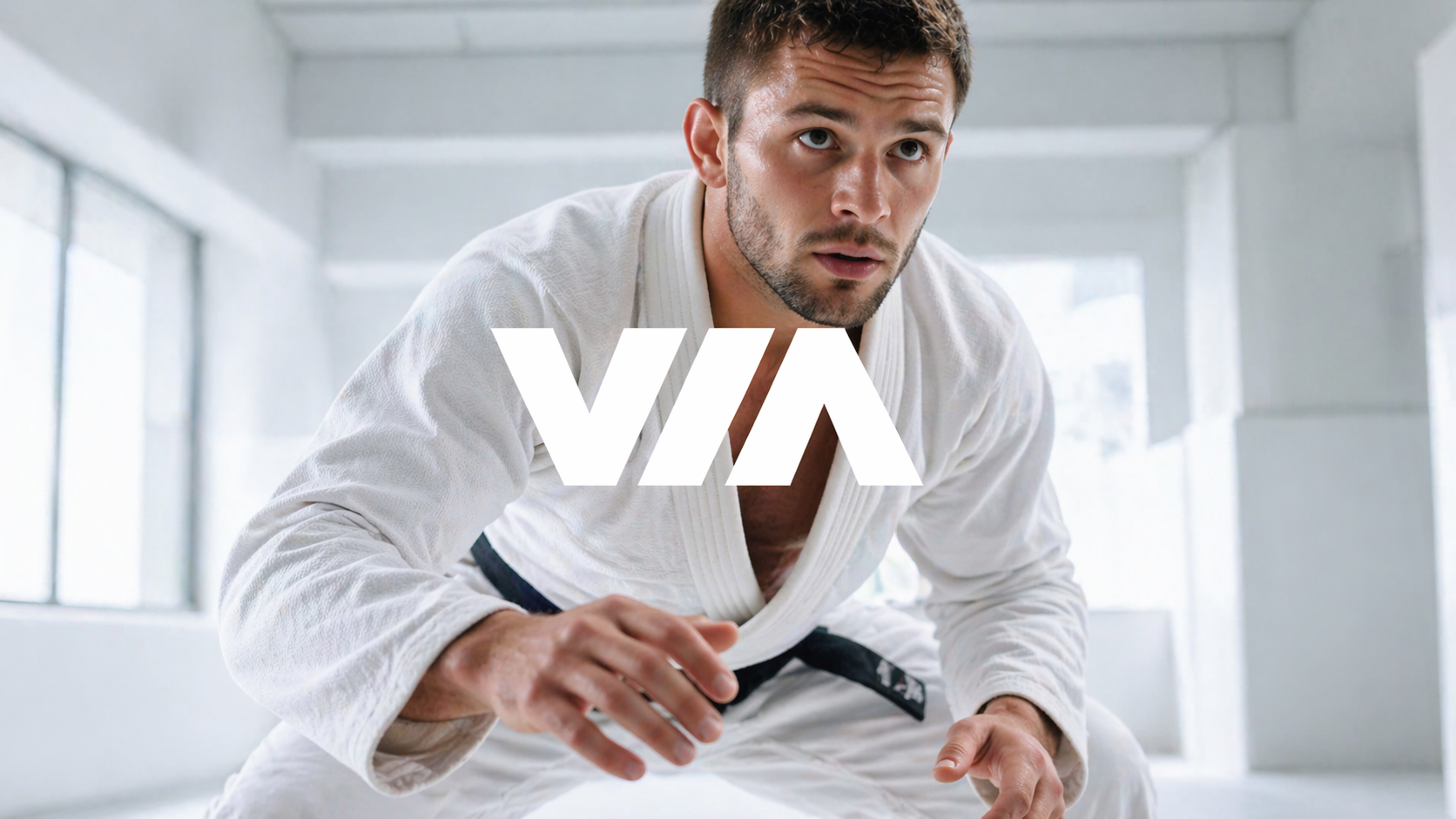 Via Jiu Jitsu branded promotional image