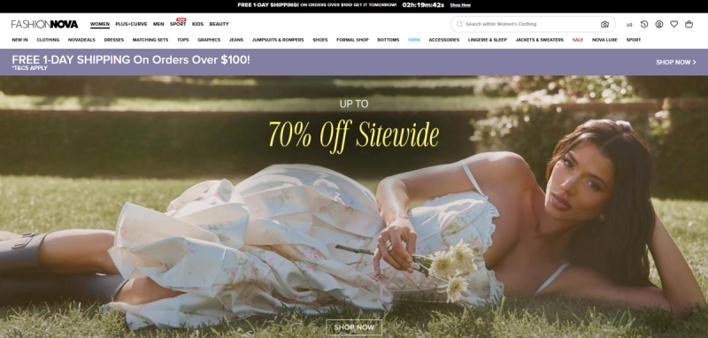 Fashion Nova Hero Snapshot