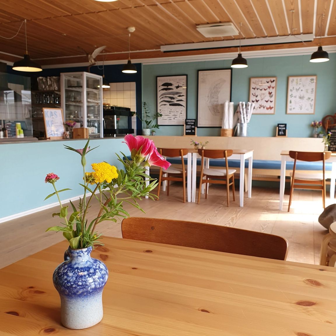 Kommandørgårdens café med træborde, friske blomster i vase og naturplakater på de lyseblå vægge