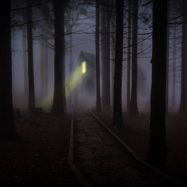 Unlocking the secrets of night-time at Codemate