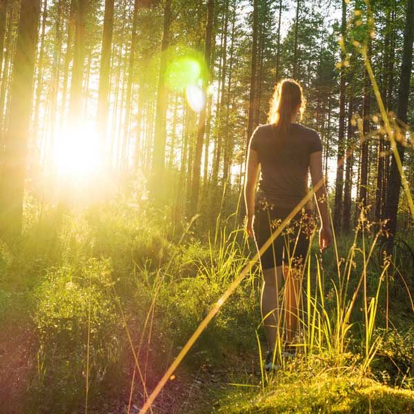 COR Group - Sustainable growth