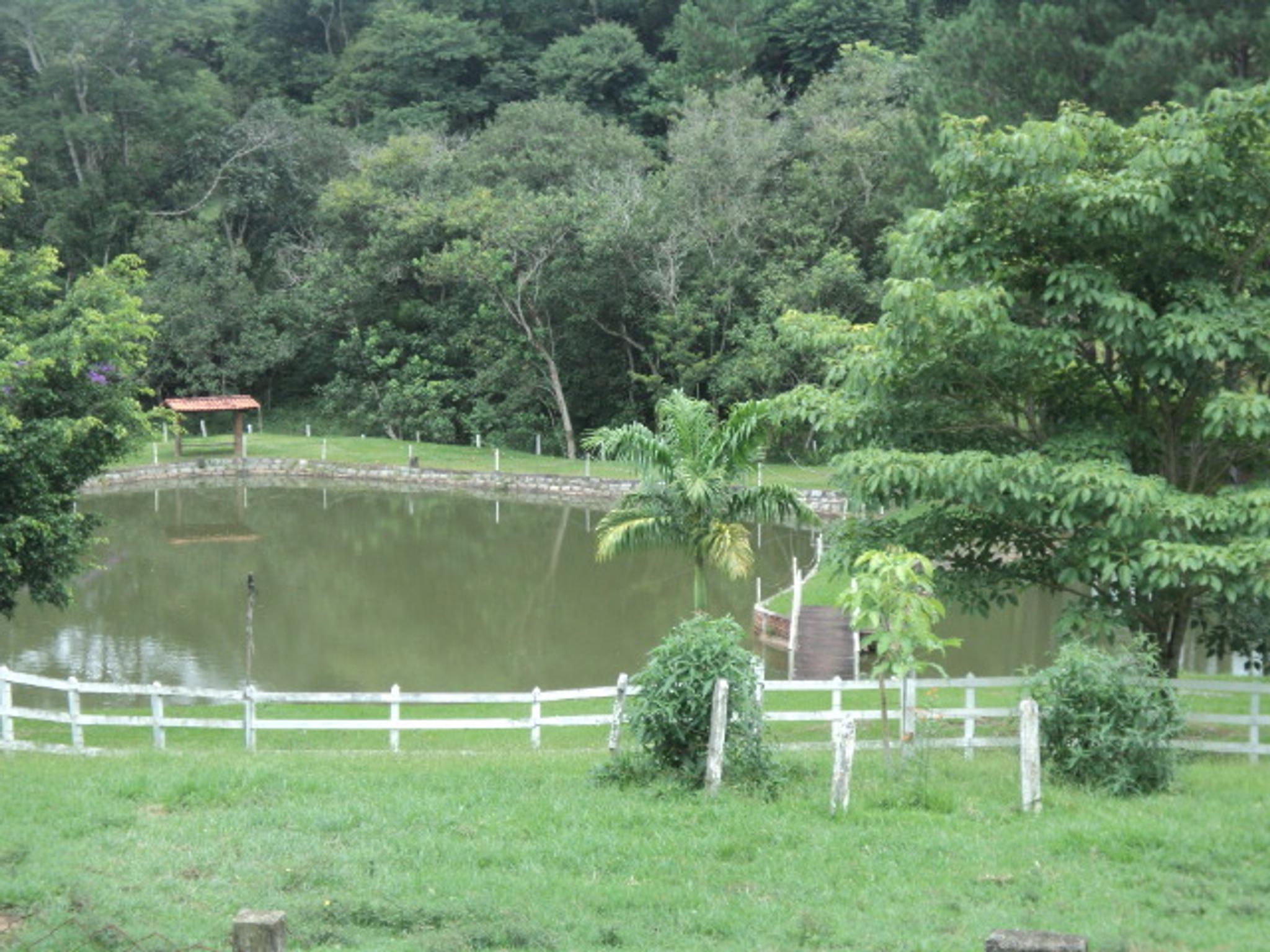 Sitio 6,5 alqueires- Cerejeira-Guararema  - Miniatura 28
