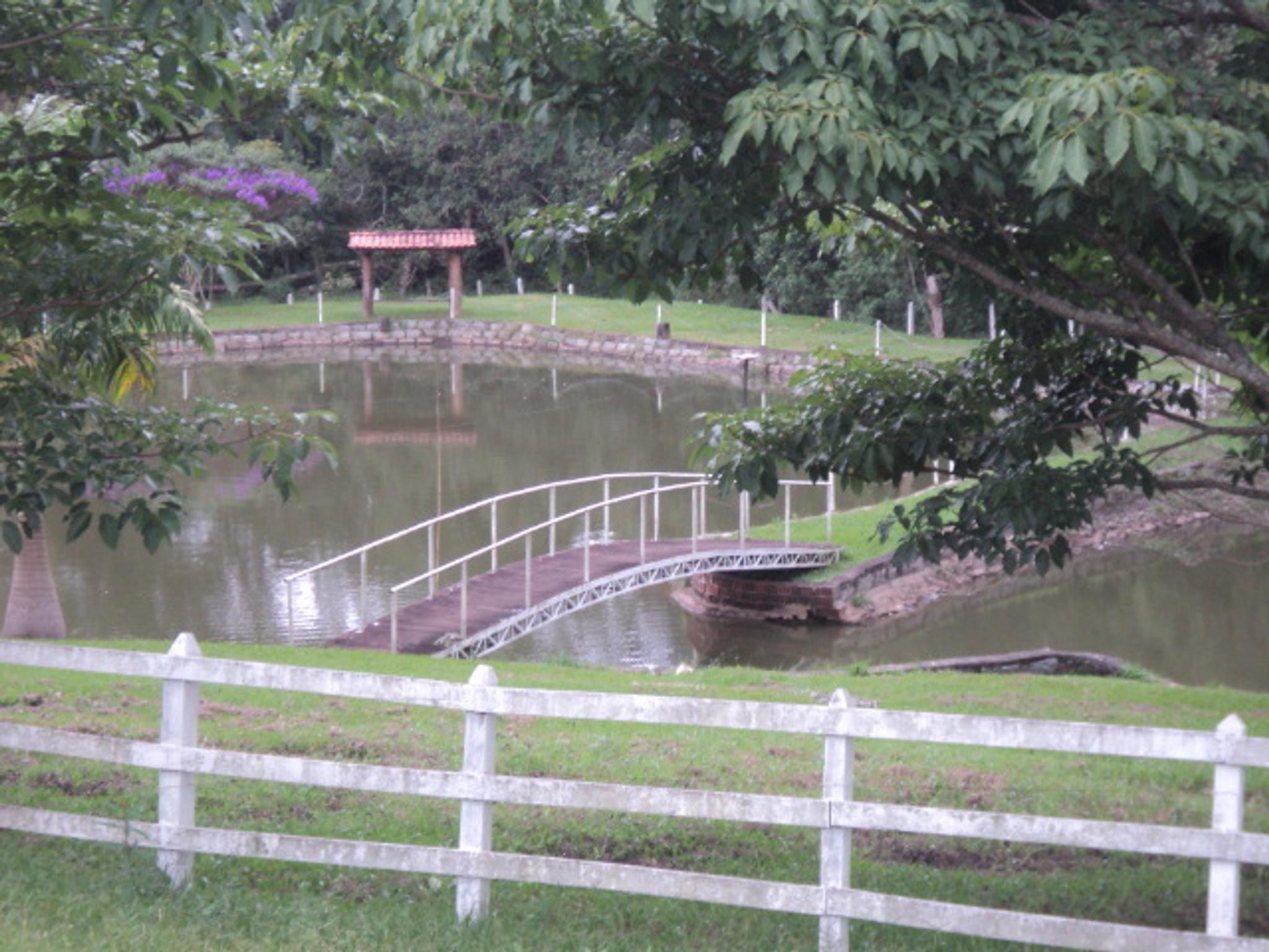 Sitio 6,5 alqueires- Cerejeira-Guararema  - Miniatura 25