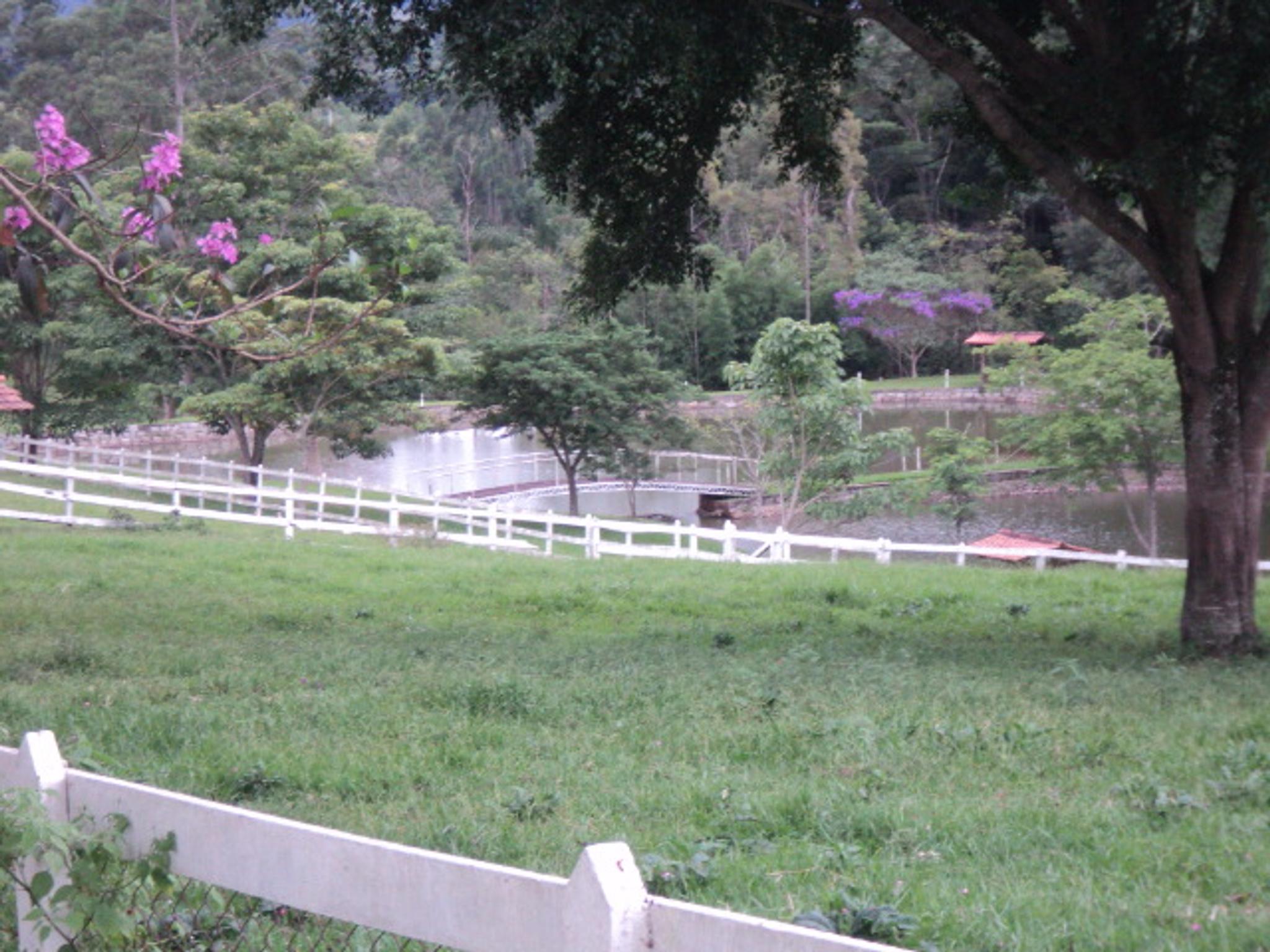 Sitio 6,5 alqueires- Cerejeira-Guararema  - Miniatura 26