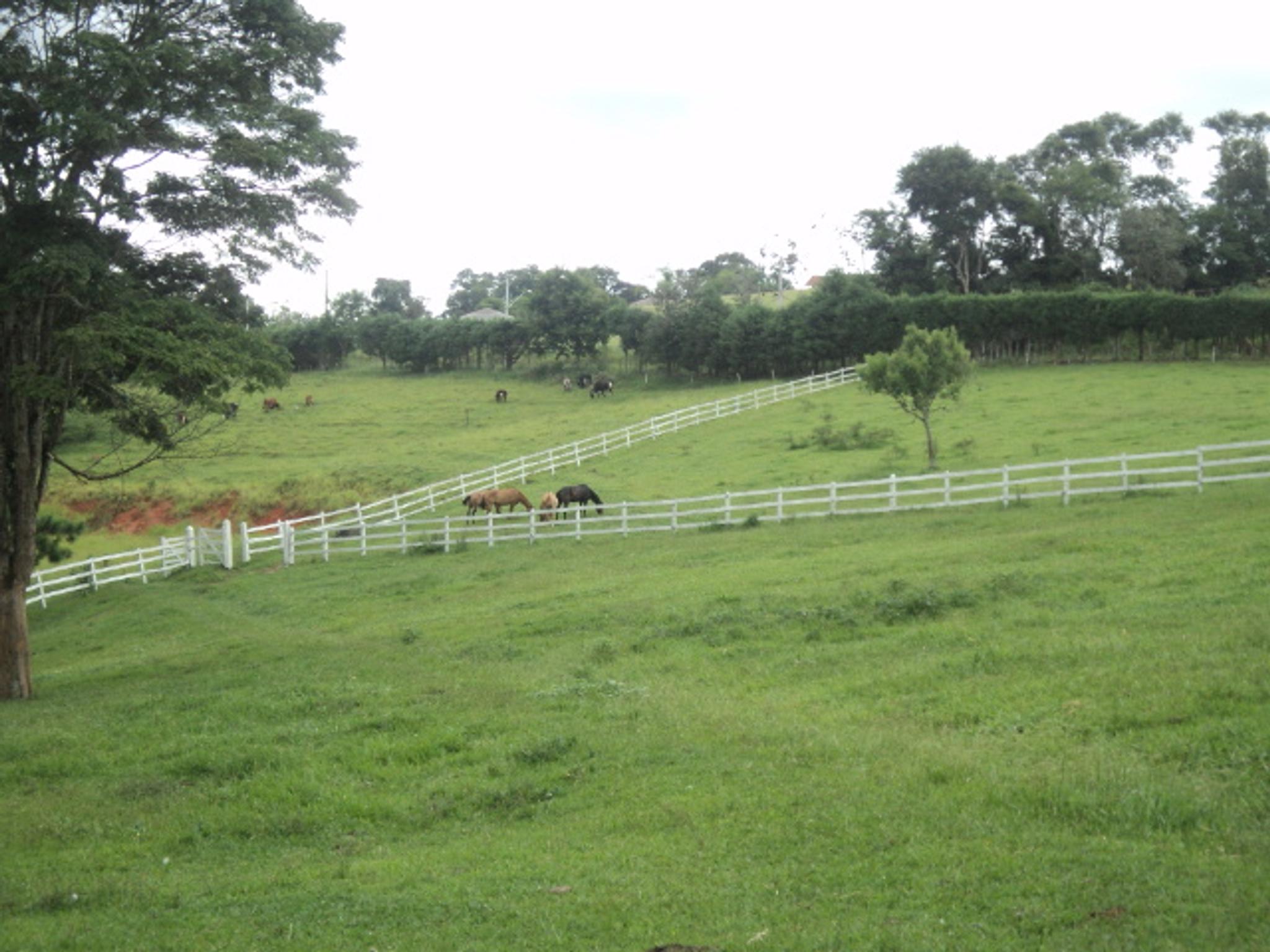 Sitio 6,5 alqueires- Cerejeira-Guararema  - Miniatura 42