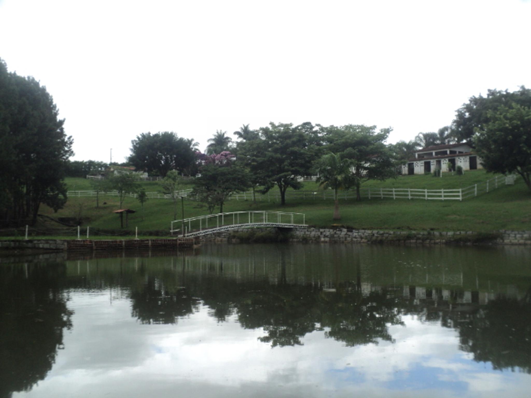 Sitio 6,5 alqueires- Cerejeira-Guararema  - Miniatura 30