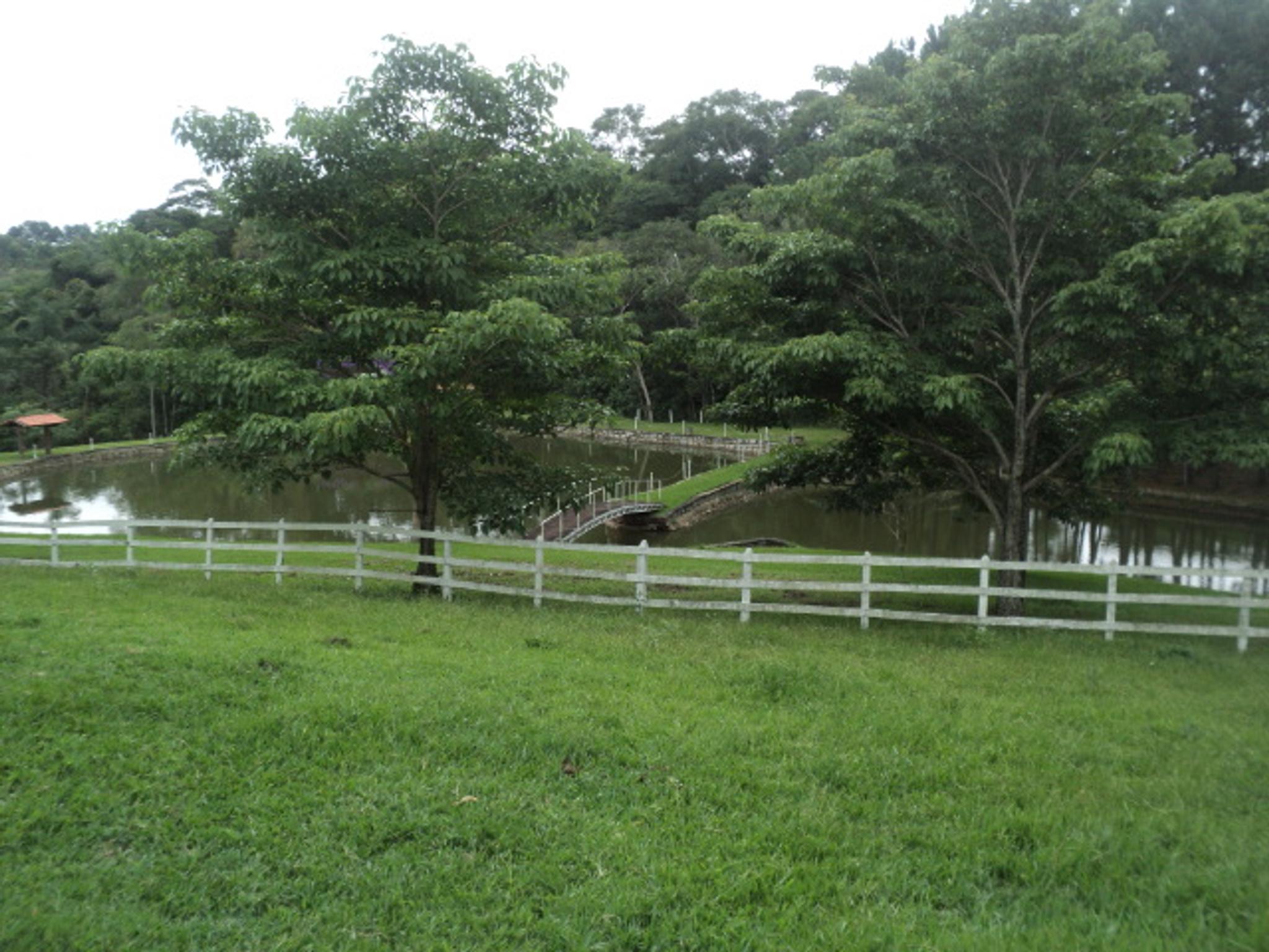 Sitio 6,5 alqueires- Cerejeira-Guararema  - Miniatura 38
