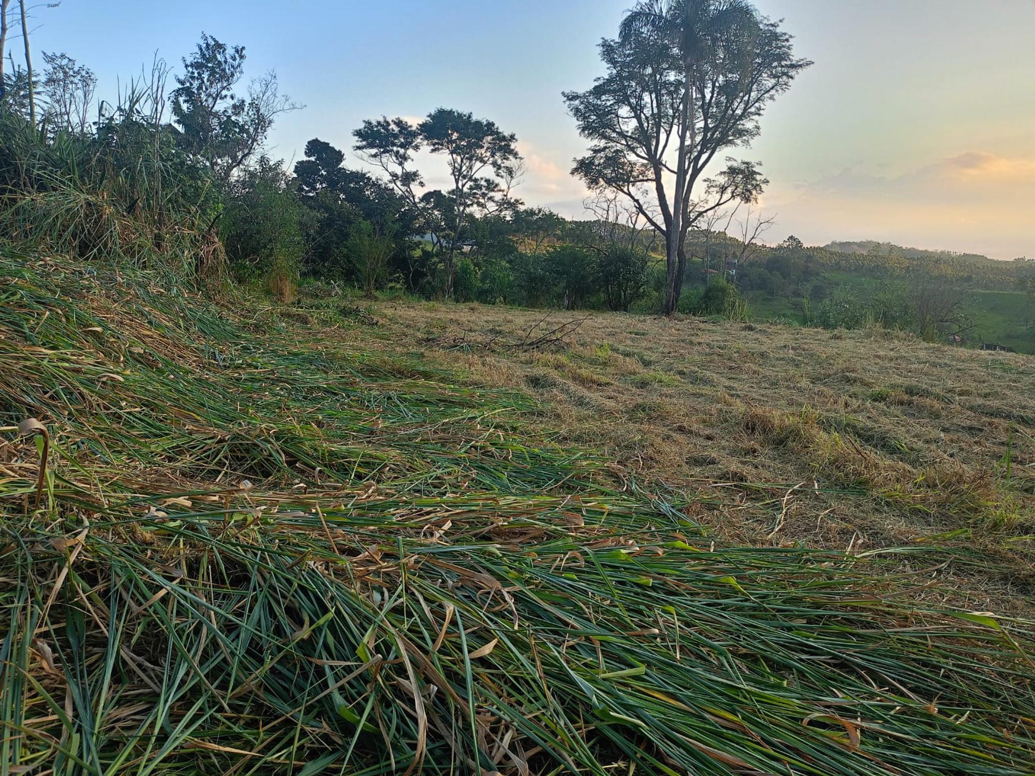 Terreno Parque Agrinco com vista - Miniatura 7