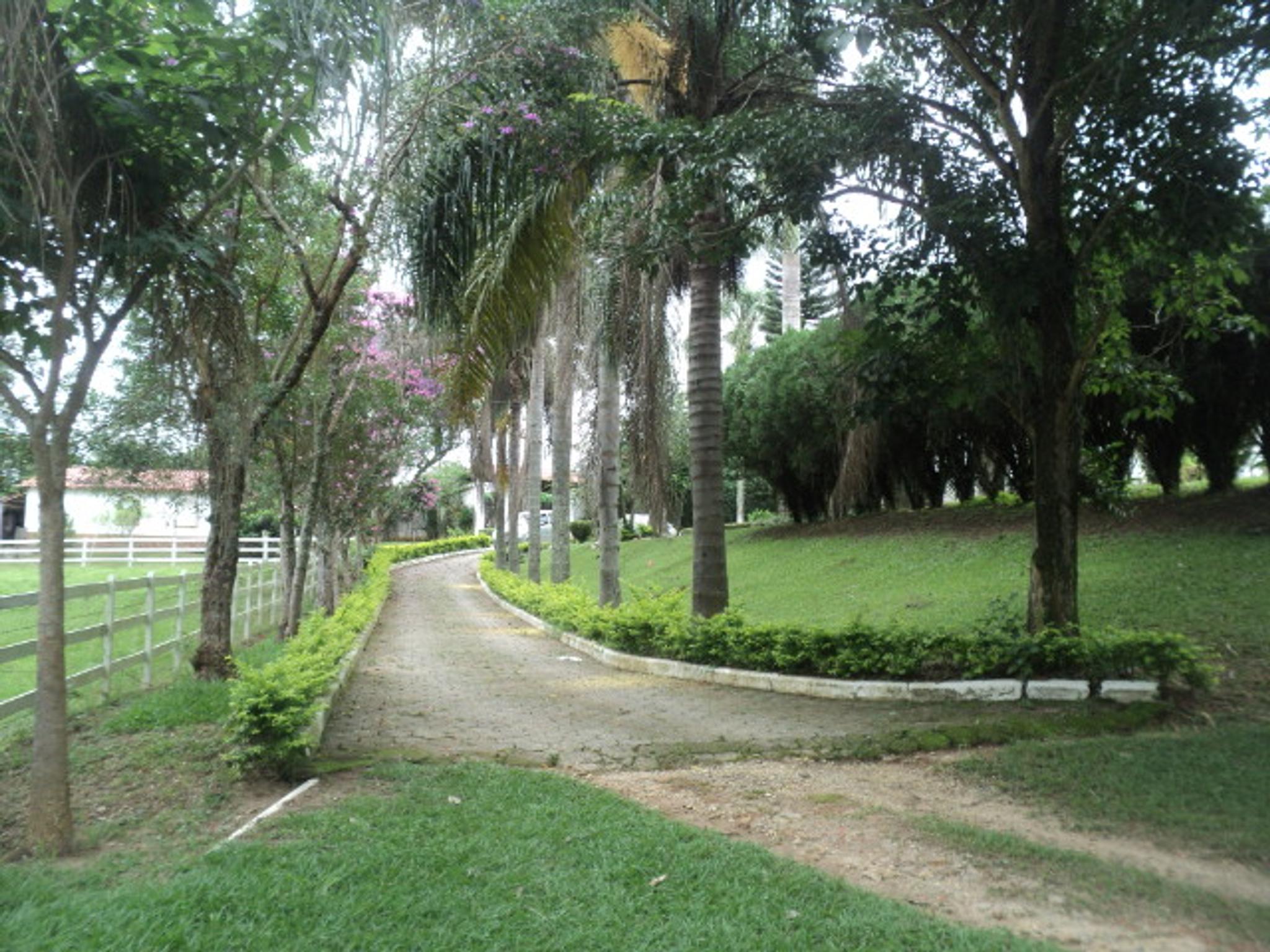 Sitio 6,5 alqueires- Cerejeira-Guararema  - Miniatura 32