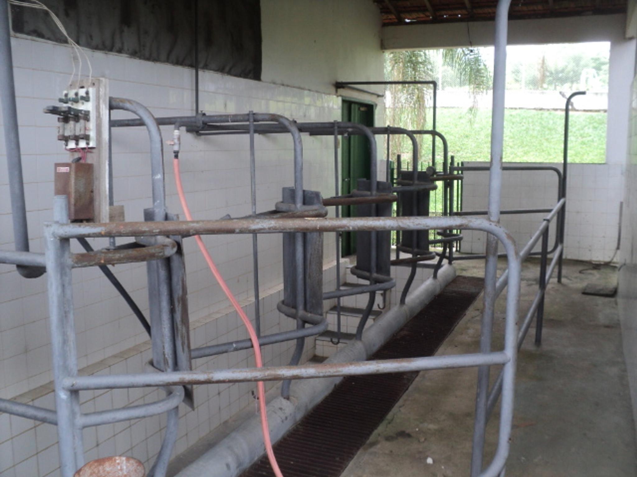 Sitio 6,5 alqueires- Cerejeira-Guararema  - Miniatura 21