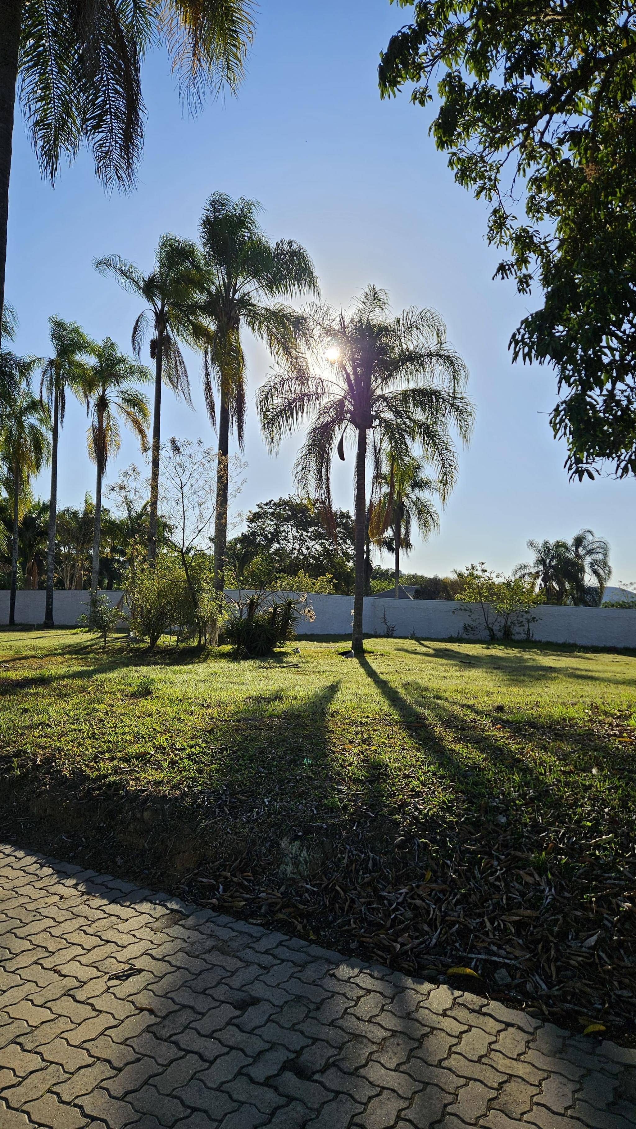 Lote Residencial da Ilha - Miniatura 5