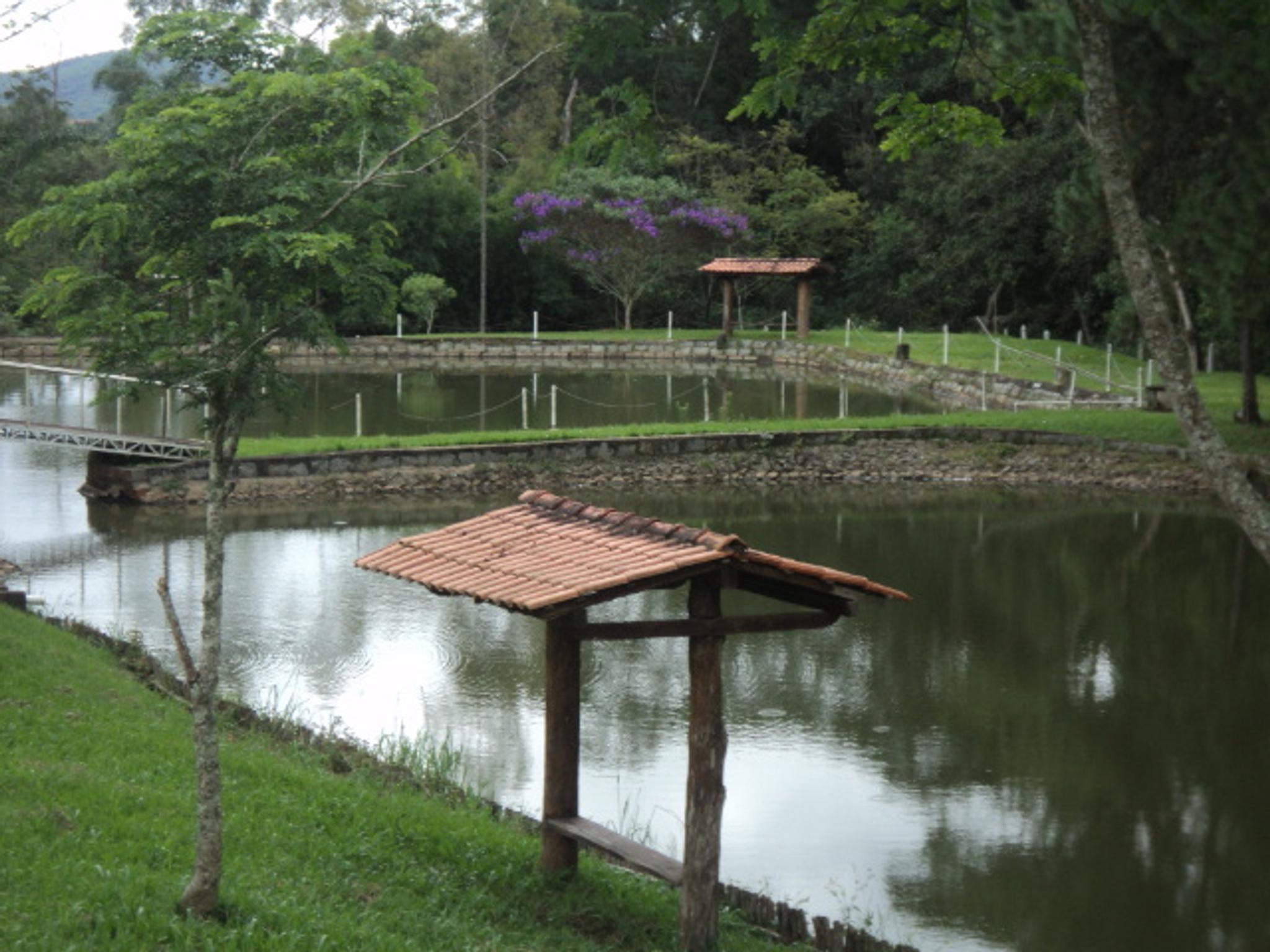 Sitio 6,5 alqueires- Cerejeira-Guararema  - Miniatura 27