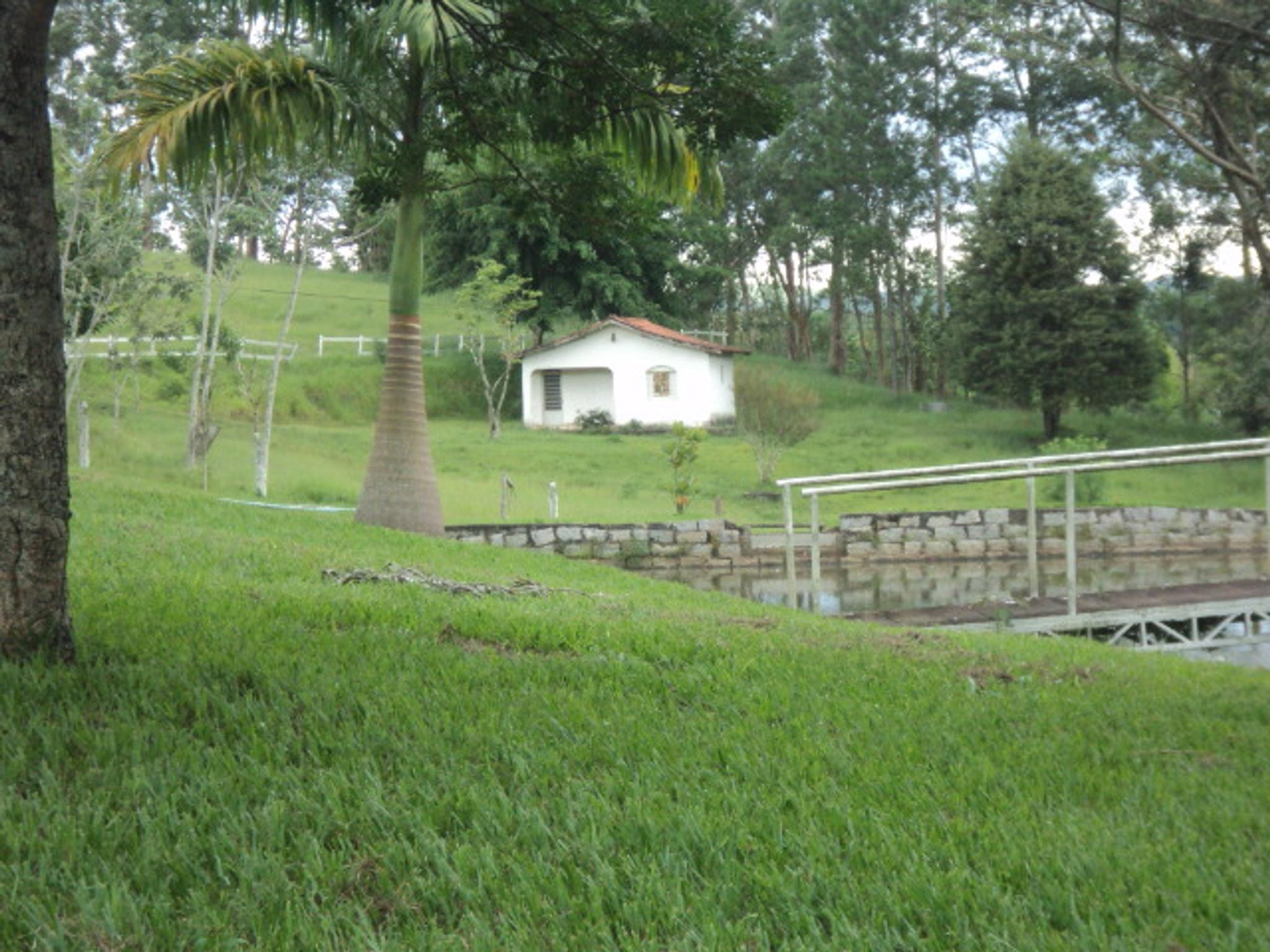 Sitio 6,5 alqueires- Cerejeira-Guararema  - Miniatura 37