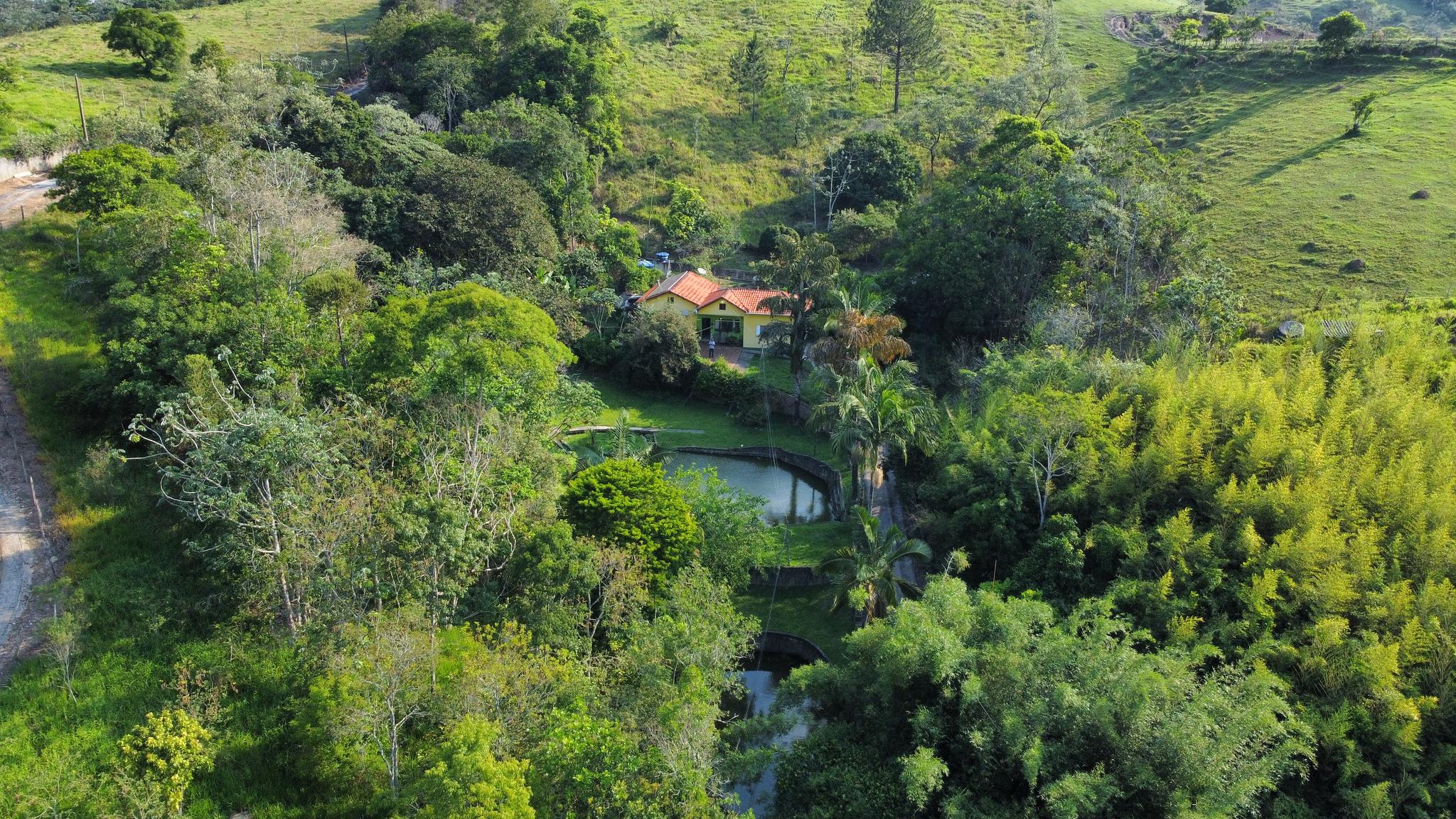 Sítio Dos Ypês Goiabal - Foto 1