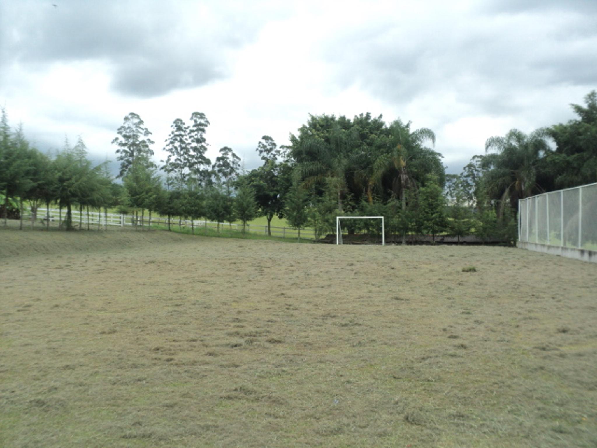Sitio 6,5 alqueires- Cerejeira-Guararema  - Miniatura 18