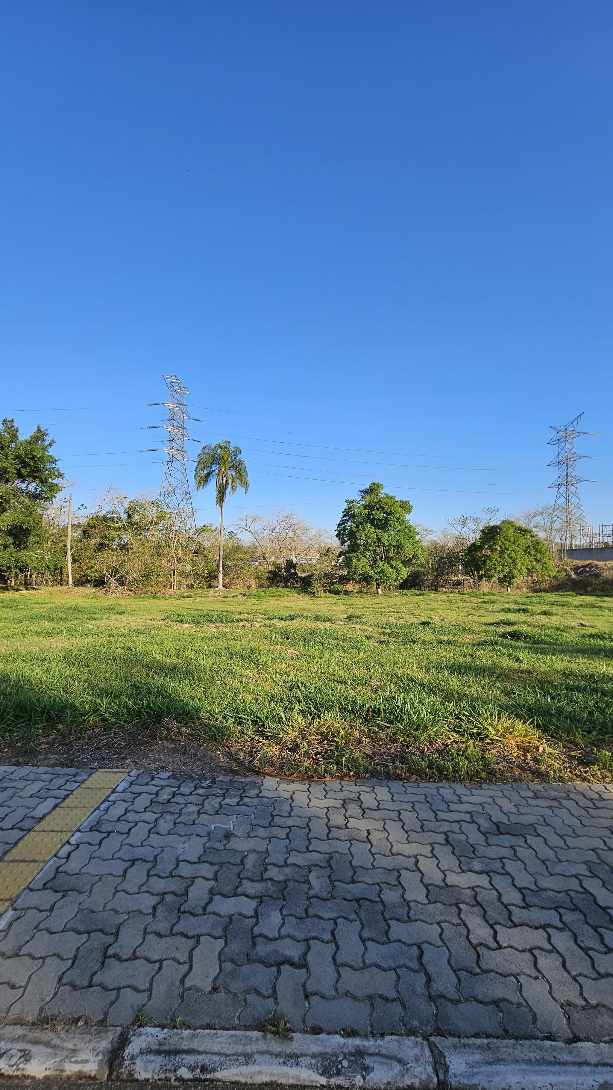 Terreno Residencial da Ilha - Miniatura 3