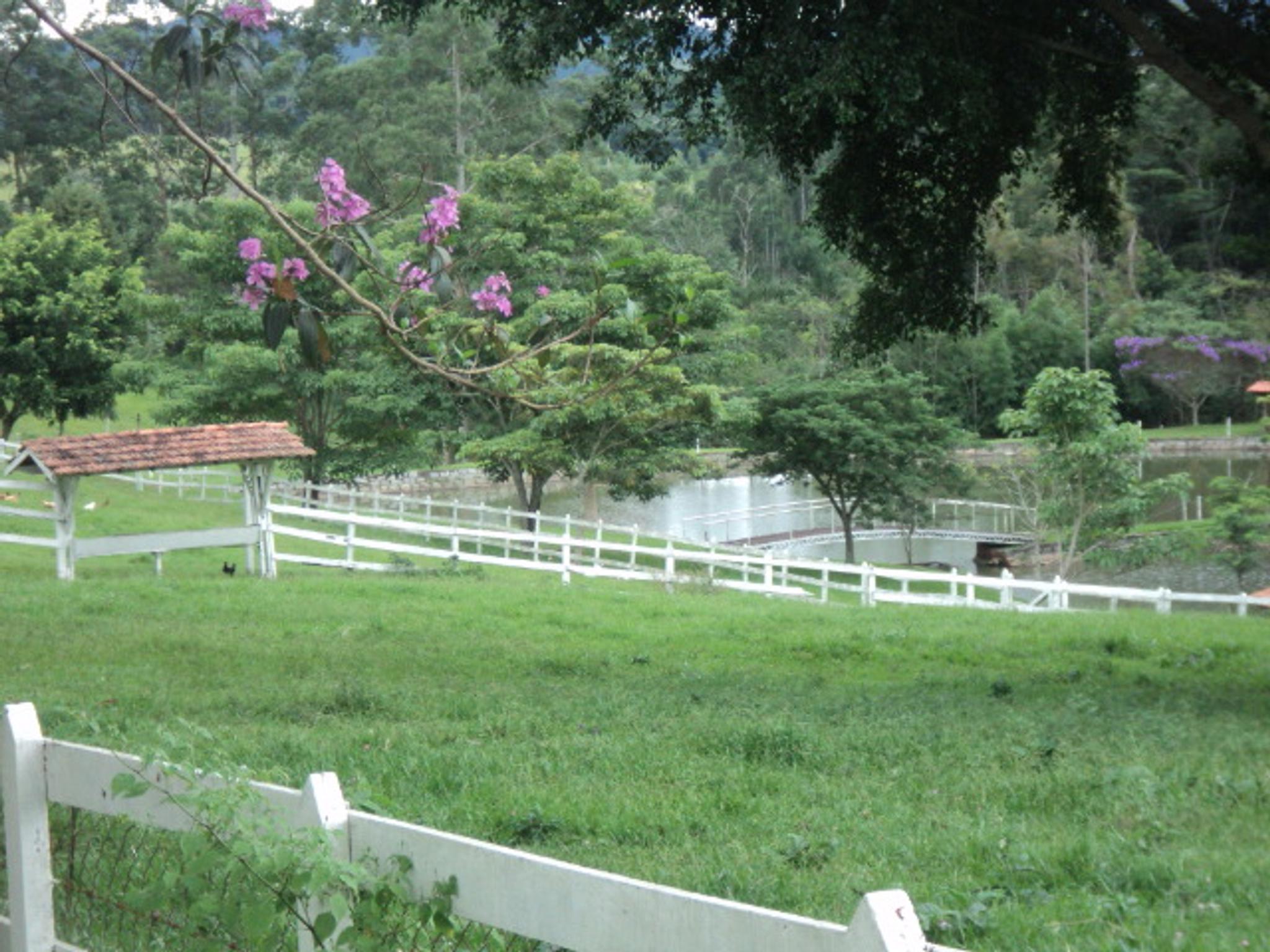 Sitio 6,5 alqueires- Cerejeira-Guararema  - Miniatura 36
