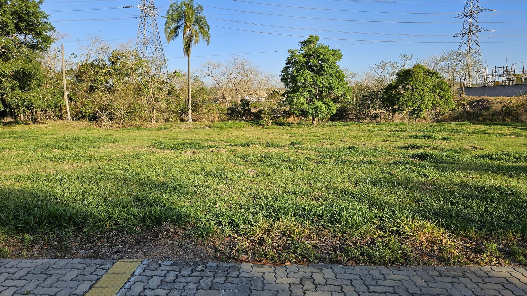 Terreno Residencial da Ilha - Miniatura 4