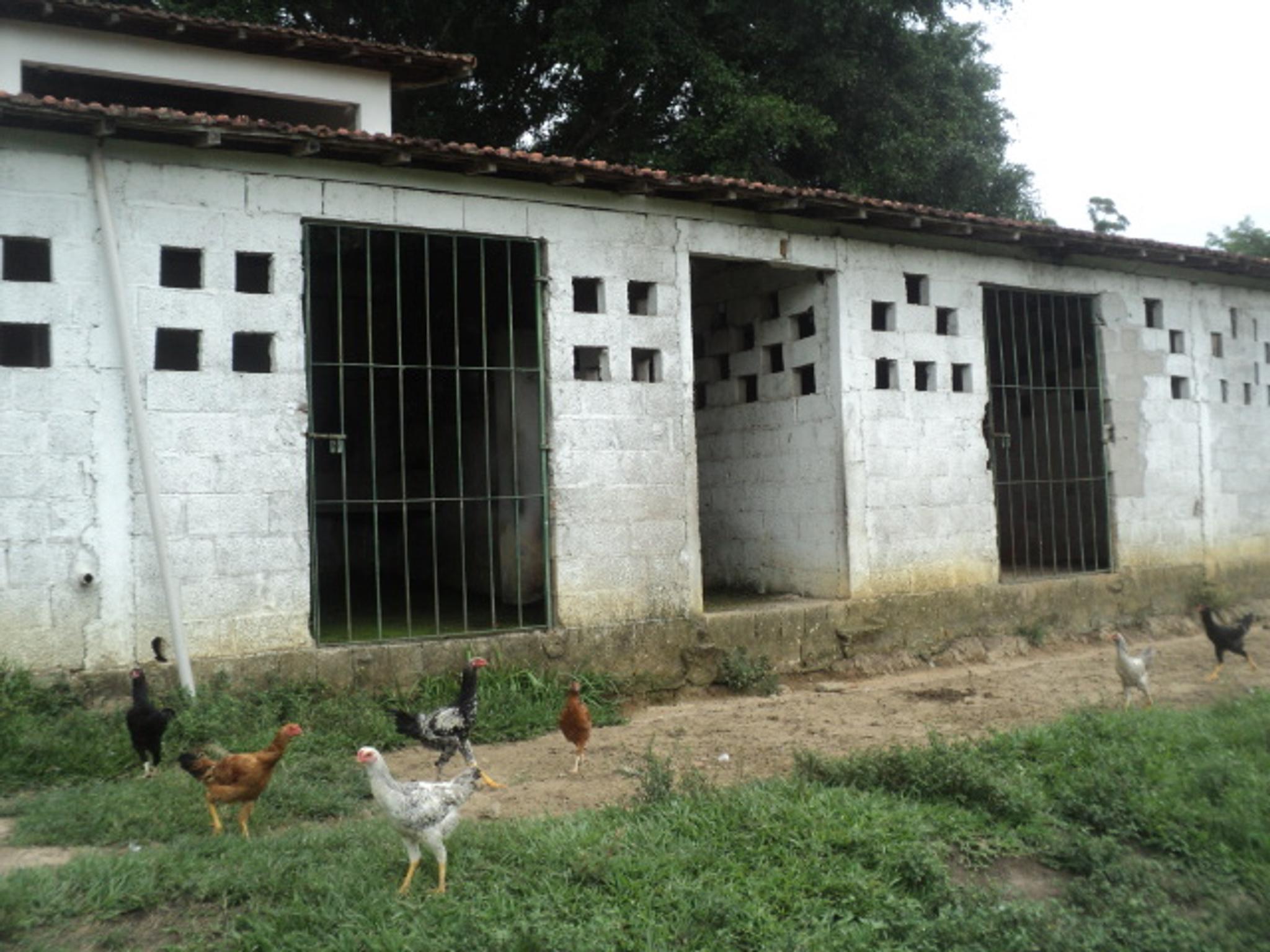 Sitio 6,5 alqueires- Cerejeira-Guararema  - Miniatura 23