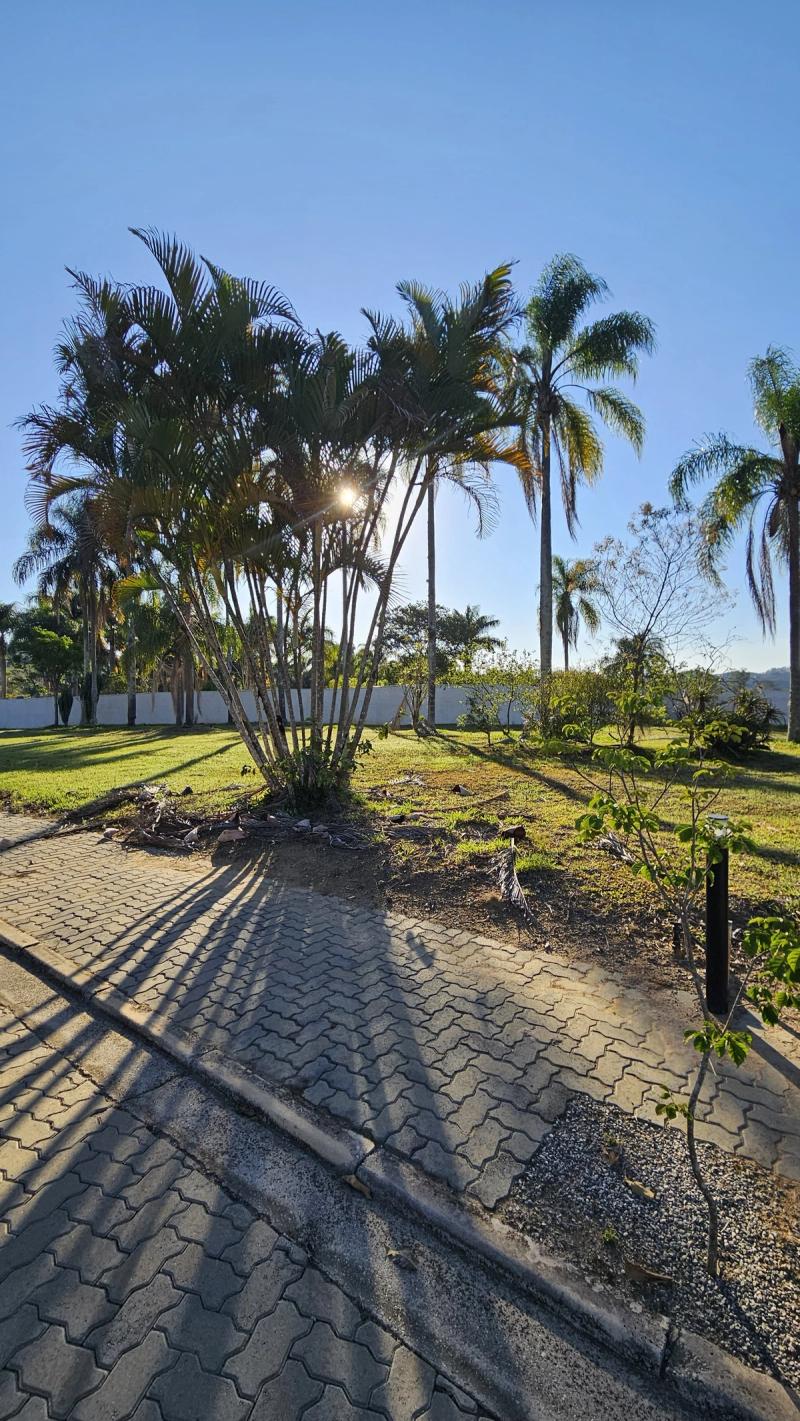 Lote Residencial da Ilha