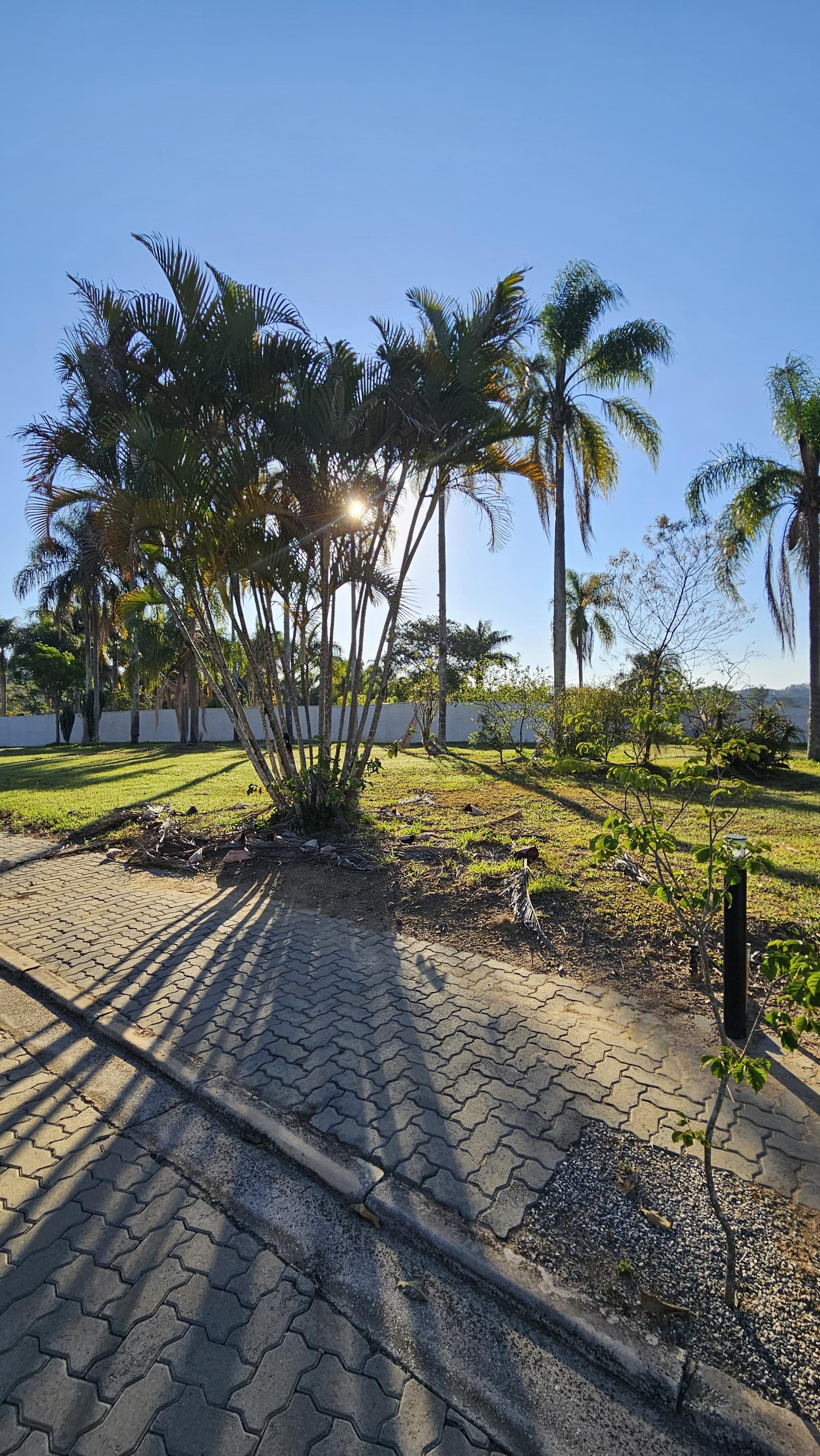 Lote Residencial da Ilha