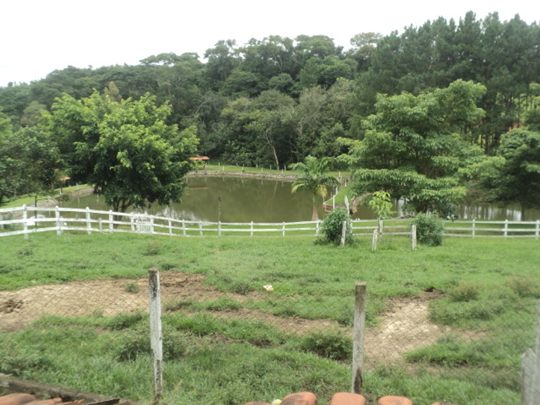 Sitio 6,5 alqueires- Cerejeira-Guararema  - Miniatura 31