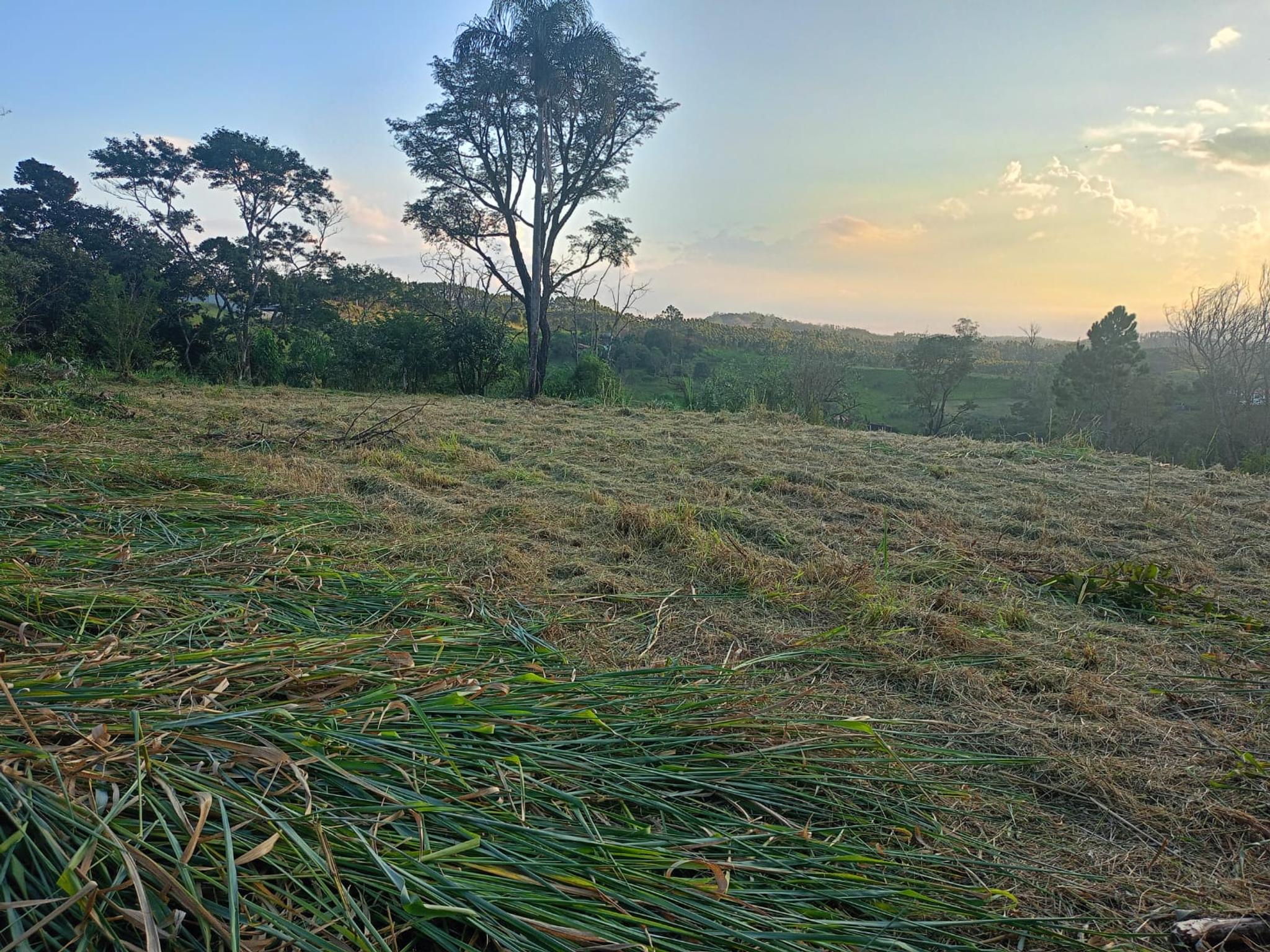 Terreno Parque Agrinco com vista - Foto 1