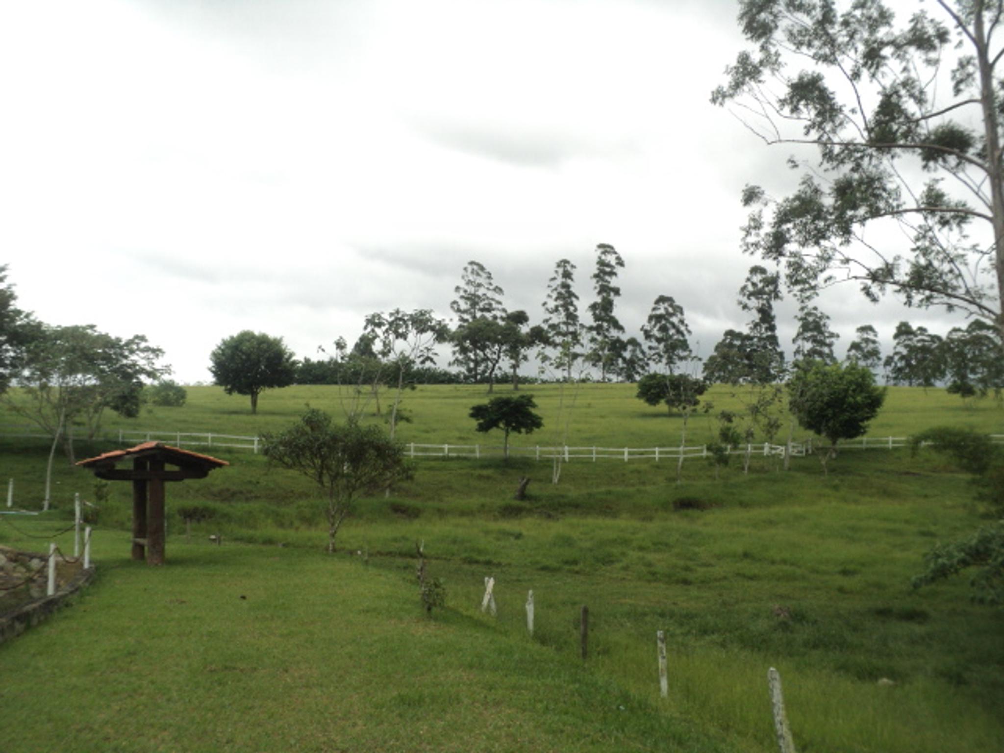 Sitio 6,5 alqueires- Cerejeira-Guararema  - Miniatura 35