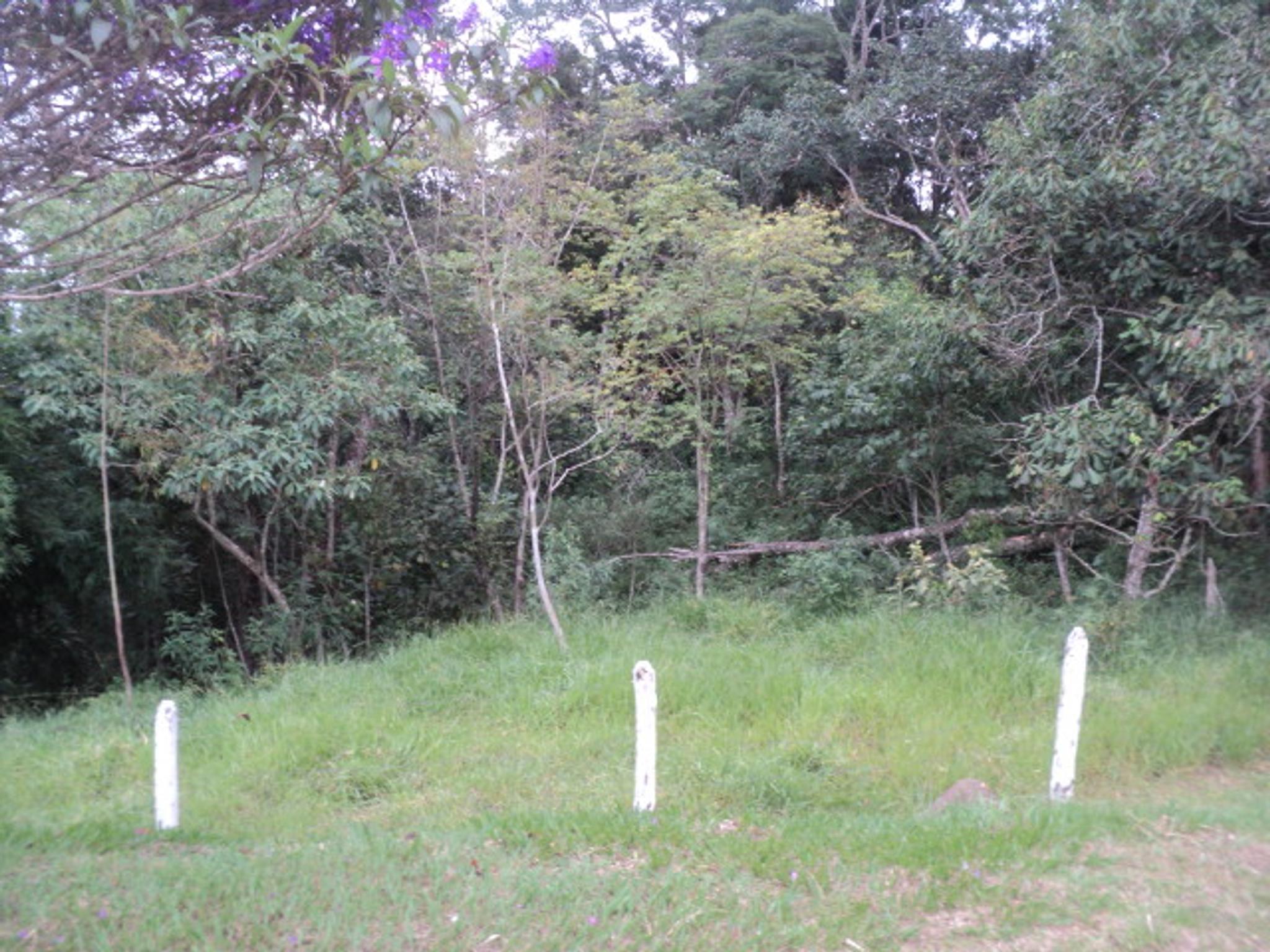 Sitio 6,5 alqueires- Cerejeira-Guararema  - Miniatura 43