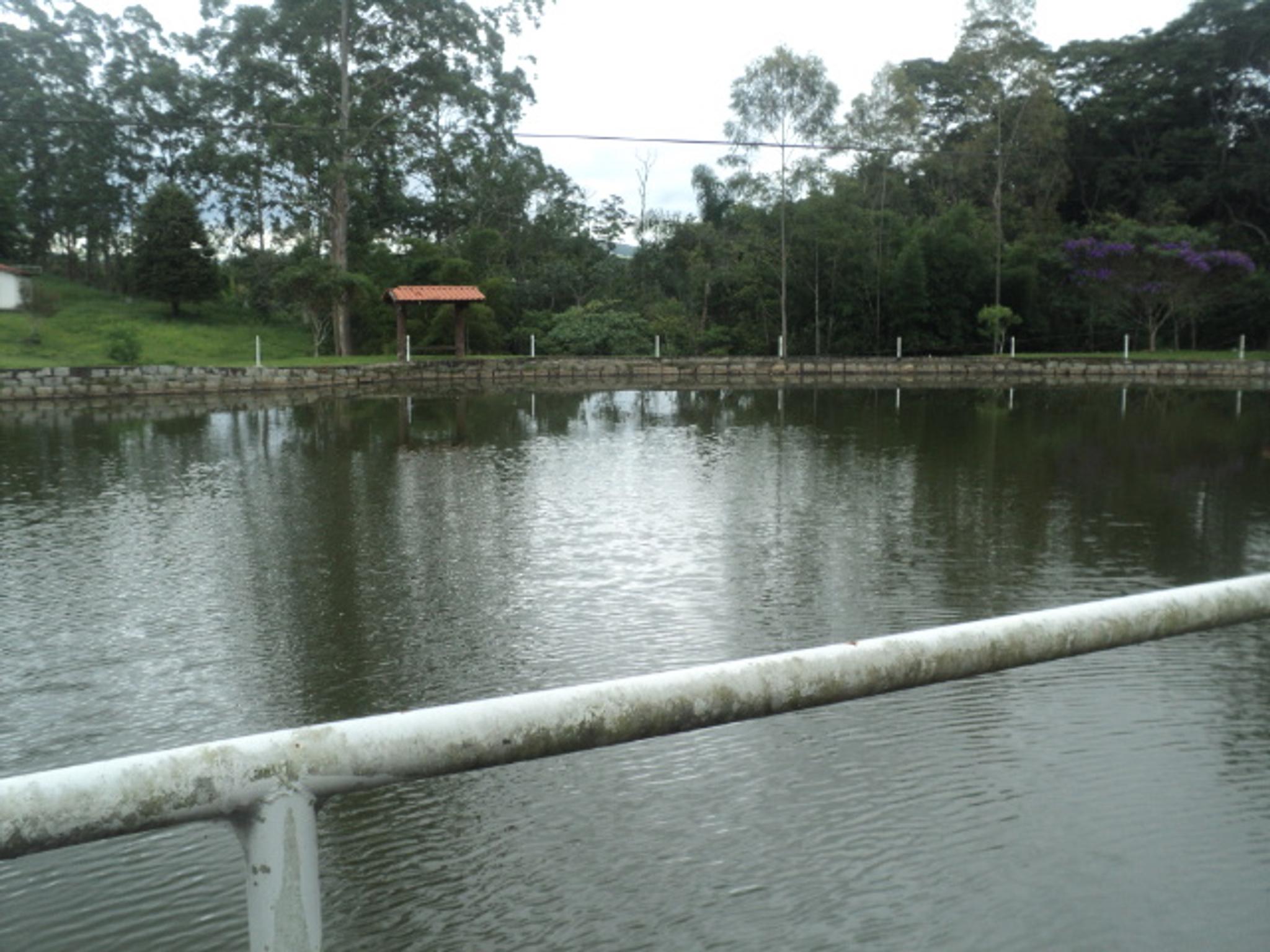 Sitio 6,5 alqueires- Cerejeira-Guararema  - Miniatura 44