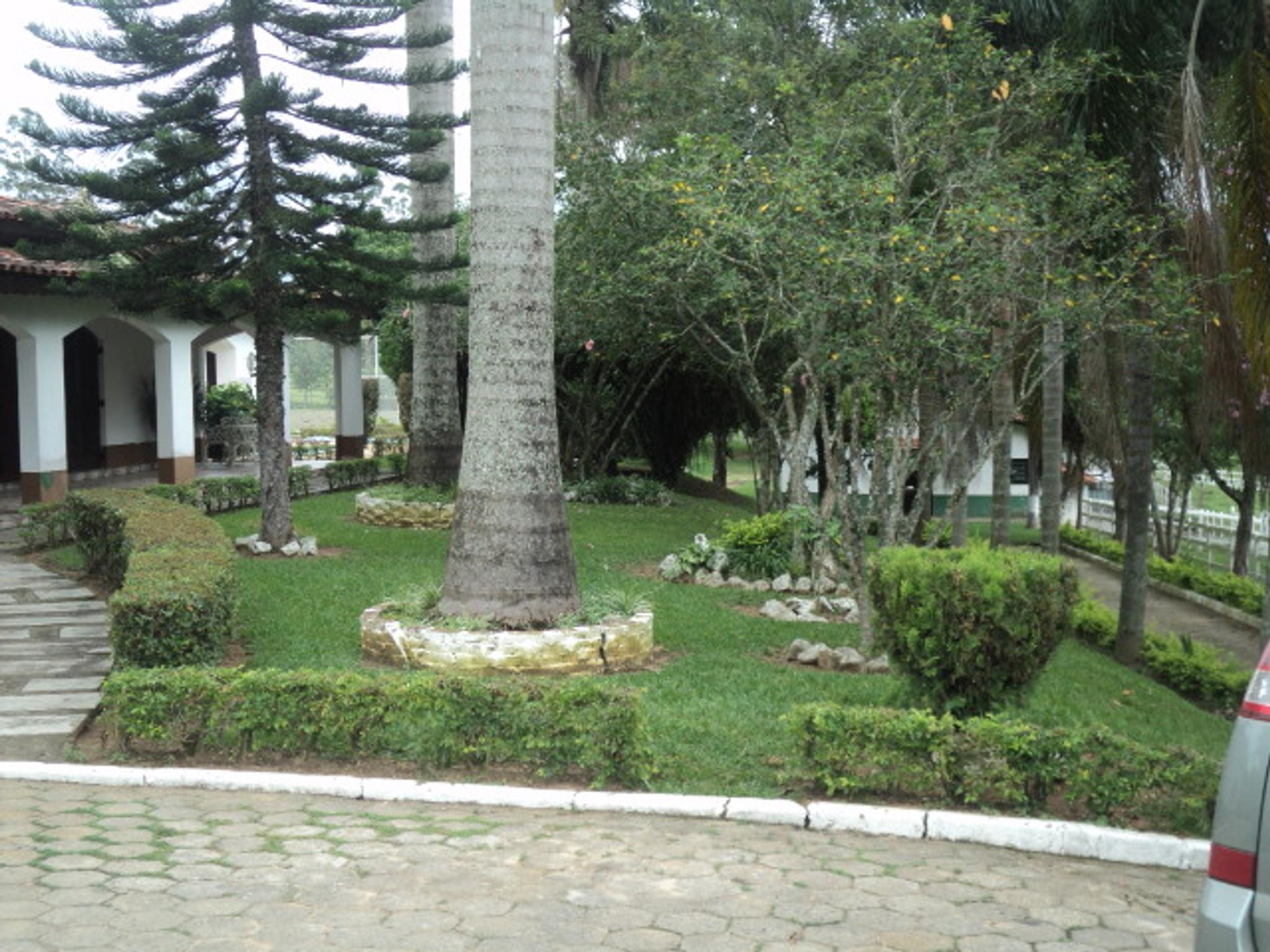 Sitio 6,5 alqueires- Cerejeira-Guararema  - Miniatura 17