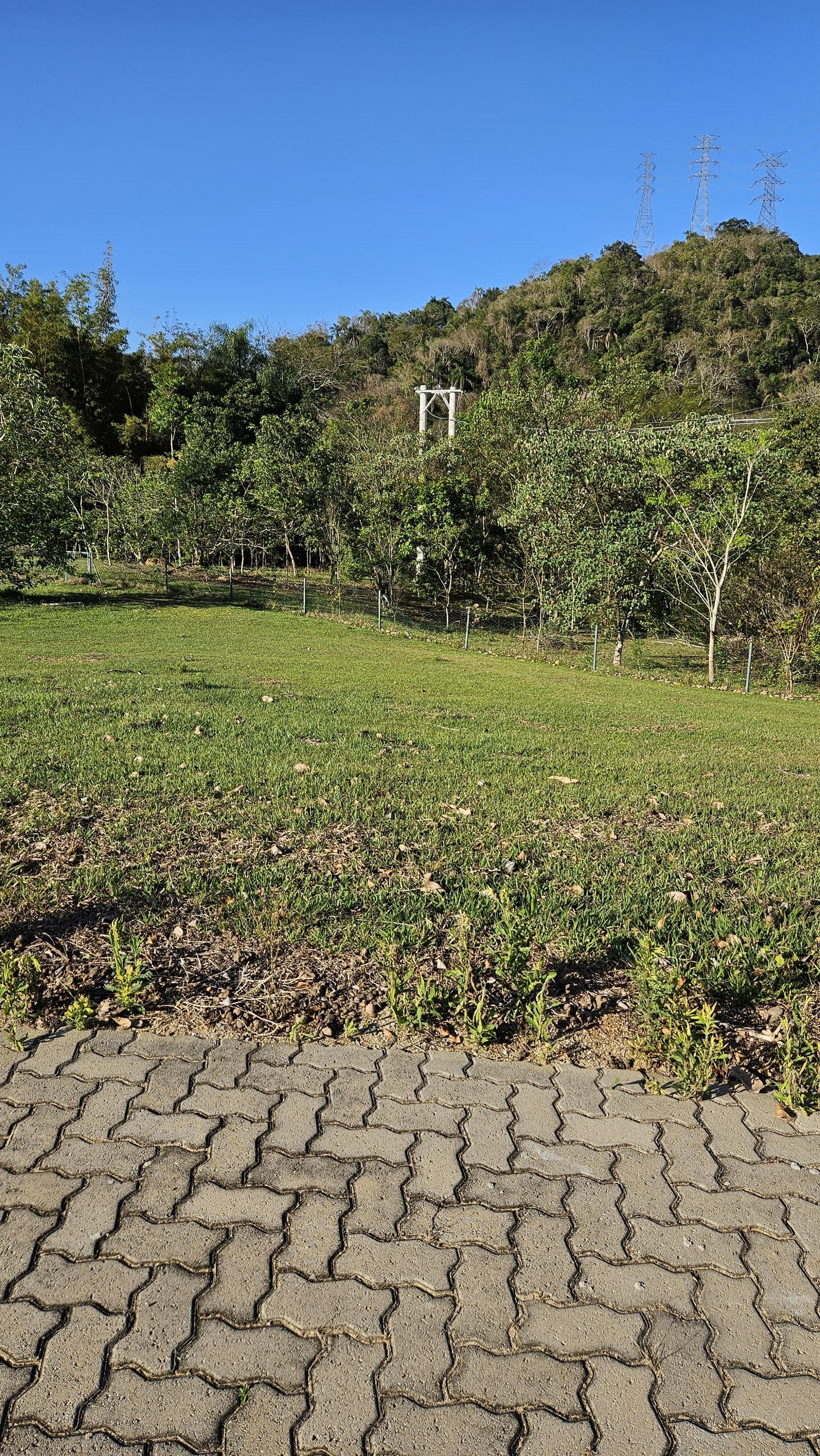Terreno Residencial da Ilha Fundo para Rio - Miniatura 6