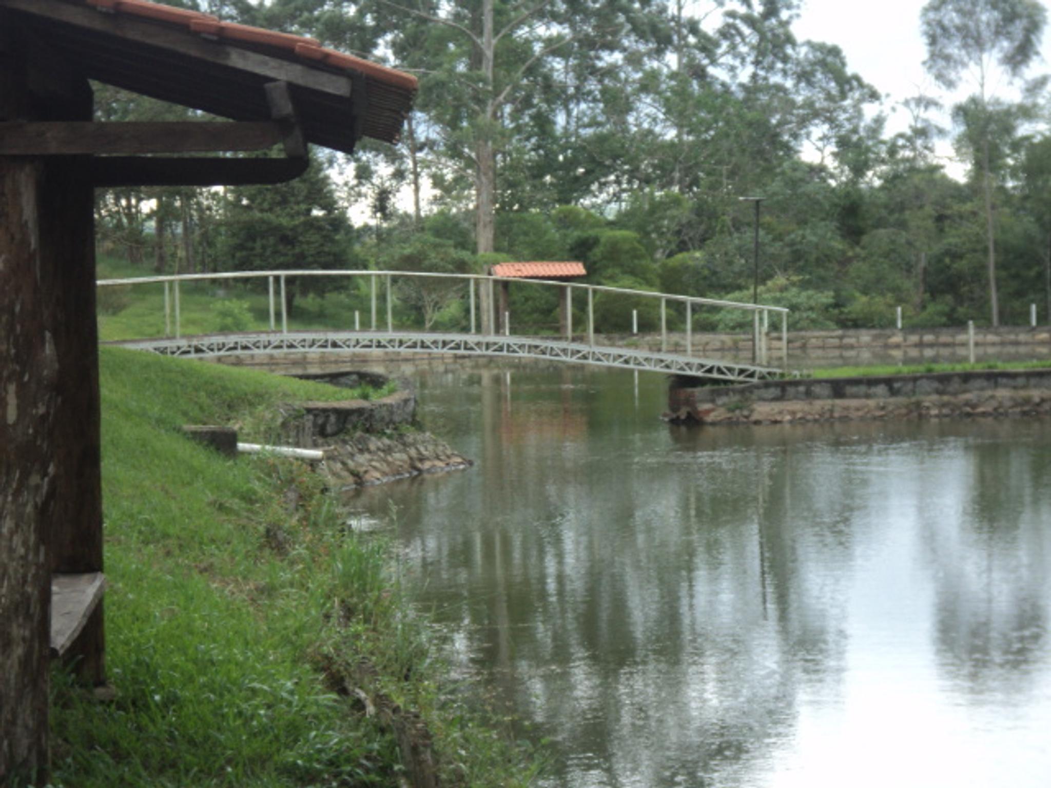 Sitio 6,5 alqueires- Cerejeira-Guararema  - Miniatura 29