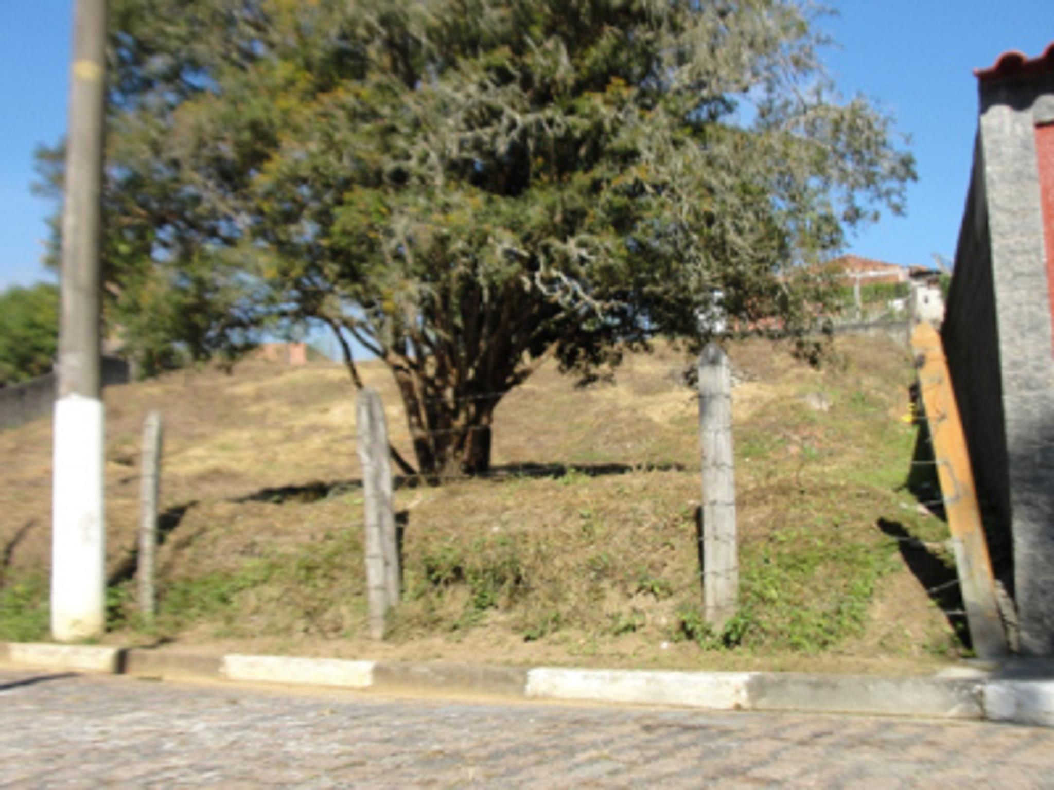 Terreno Freguesia da Escada - Miniatura 4