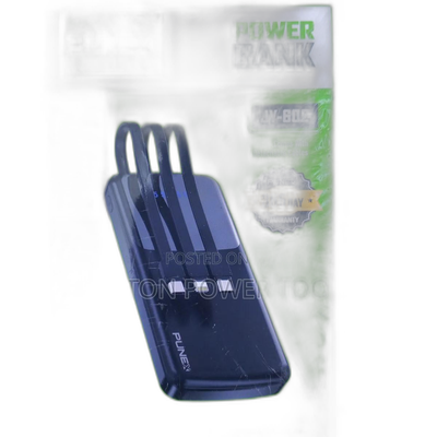 Punex 10000 Mah Power Bank