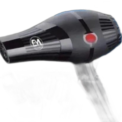 Em Hair Dryer Blowdry*