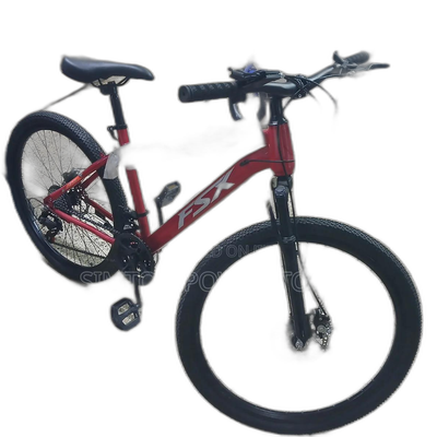 FSX Mountain Bike