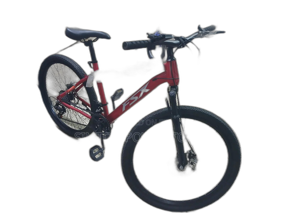FSX Mountain Bike