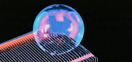 We asked Delphi who to ask about the AI bubble