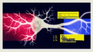AI’s next big chip bet may be biological